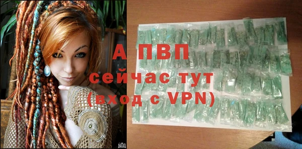 спиды Волосово
